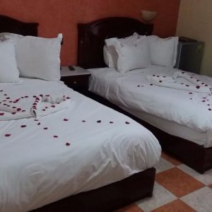 hotel-les-ambassadeurs (8)